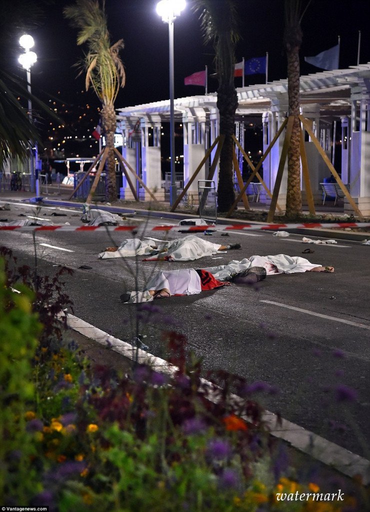 ქართველი დედის სულისშემძვრელი წერილი