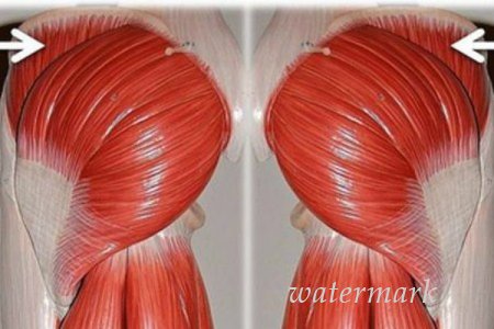 მეცნიერული მეთოდი, რომელიც თქვენს საჯდომს ფანტასტიურს გახდის ! მეცნიერული მეთოდი, რომელიც თქვენს საჯდომს ფანტასტიურს გახდის !