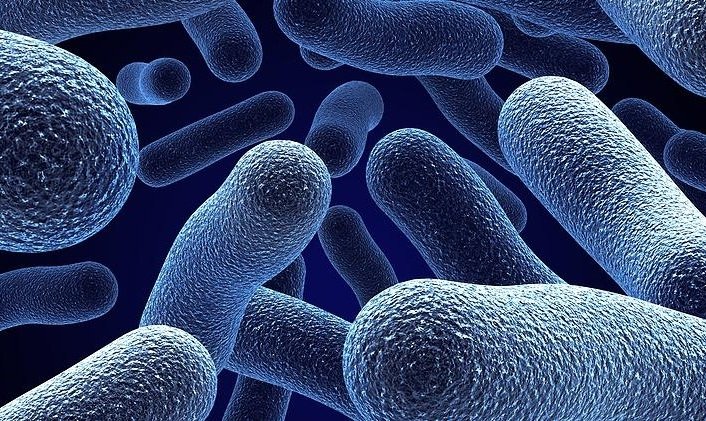 ვულვიტი - რა გავლენას ახდენს ქალის რეპროდუქციულ ფუნქციაზე