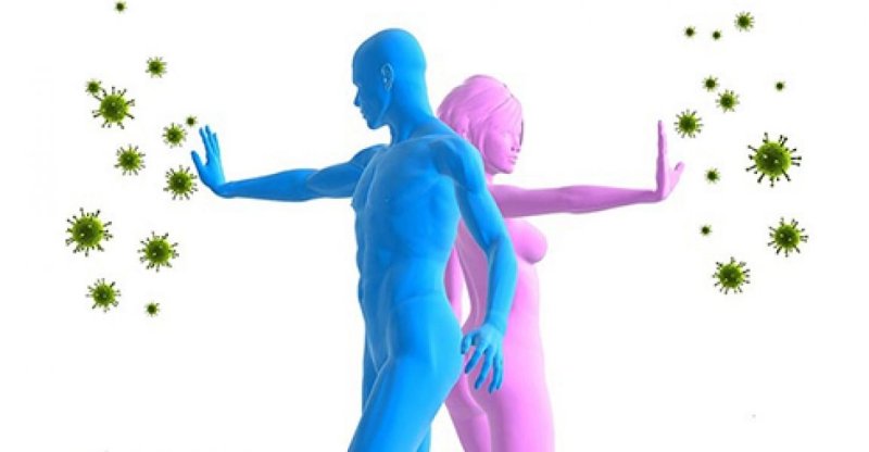 როგორ დავიცვათ თითოეული ორგანო, რომ თავიდან ავიცილოთ დაავადება