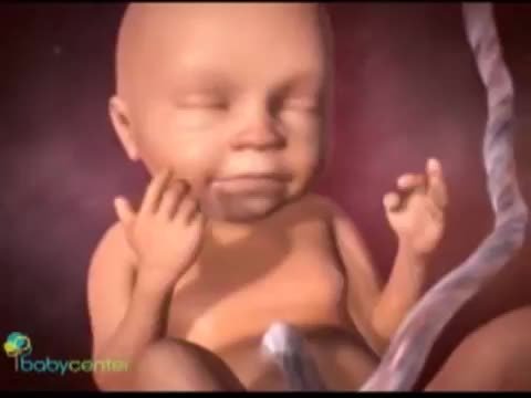 ორსულობა. როგორ ხედავს მუცლიდან ბავშვი სამყაროს. უნიიკალური ვიდეო რომელსაც მილიონობით ნახვა აქვს!