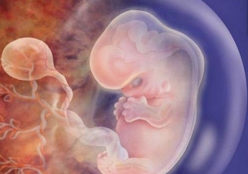 4 შეკითხვა აბორტის შესახებ [+გამოკითხვა]