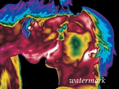 ჩასახვიდან ბავშის დაბადებამდე: 9 თვის განმავლობაში ორგანიზმში მომხდარი ცვლილებები (19 ფოტო) ჩასახვიდან ბავშის დაბადებამდე: 9 თვის განმავლობაში ორგანიზმში მომხდარი ცვლილებები (19 ფოტო)