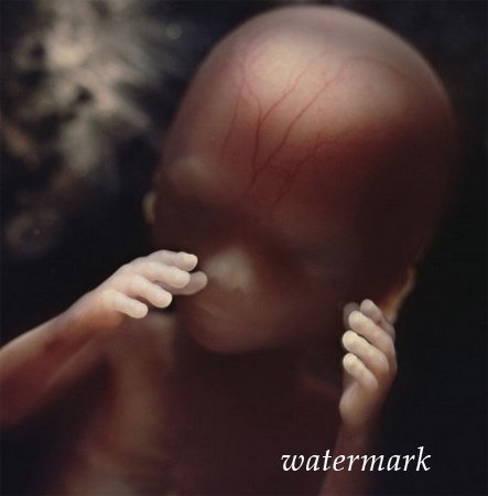 ჩასახვიდან ბავშის დაბადებამდე: 9 თვის განმავლობაში ორგანიზმში მომხდარი ცვლილებები (19 ფოტო) ჩასახვიდან ბავშის დაბადებამდე: 9 თვის განმავლობაში ორგანიზმში მომხდარი ცვლილებები (19 ფოტო)