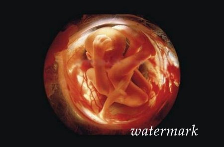 ჩასახვიდან ბავშის დაბადებამდე: 9 თვის განმავლობაში ორგანიზმში მომხდარი ცვლილებები (19 ფოტო)