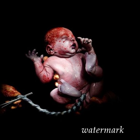 9 დაუჯერებლად ინტიმური კადრი, დაბადებიდან პირველივე წამებზე ... 9 დაუჯერებლად ინტიმური კადრი, დაბადებიდან პირველივე წამებზე ...