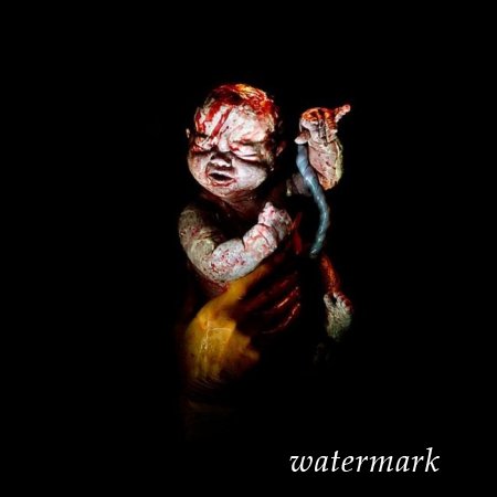 9 დაუჯერებლად ინტიმური კადრი, დაბადებიდან პირველივე წამებზე ... 9 დაუჯერებლად ინტიმური კადრი, დაბადებიდან პირველივე წამებზე ...