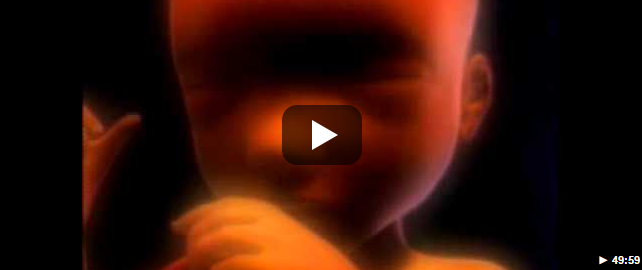 ორსულობის 9 თვიანი პერიოდის ამსახველი ვიდეო რგოლი