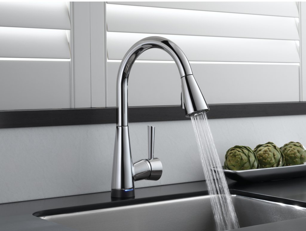 ოთახის მცენარეები და ონკანის წყალი