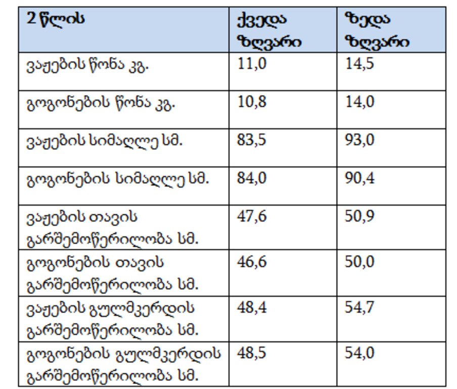 ბავშვი 2 წლის ასაკში ბავშვი 2 წლის ასაკში