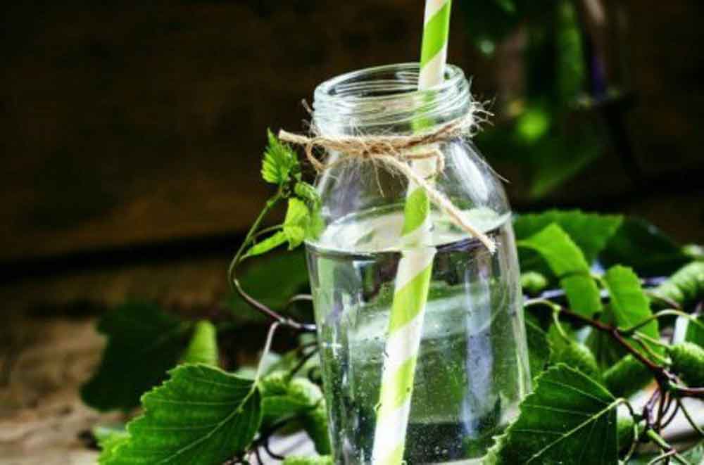 13 საუკეთესო რეცეპტი ზამთრისათვის არყის ხის წვენისაგან